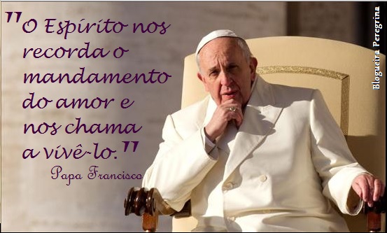 Papa Francisco Blogueira Peregrina